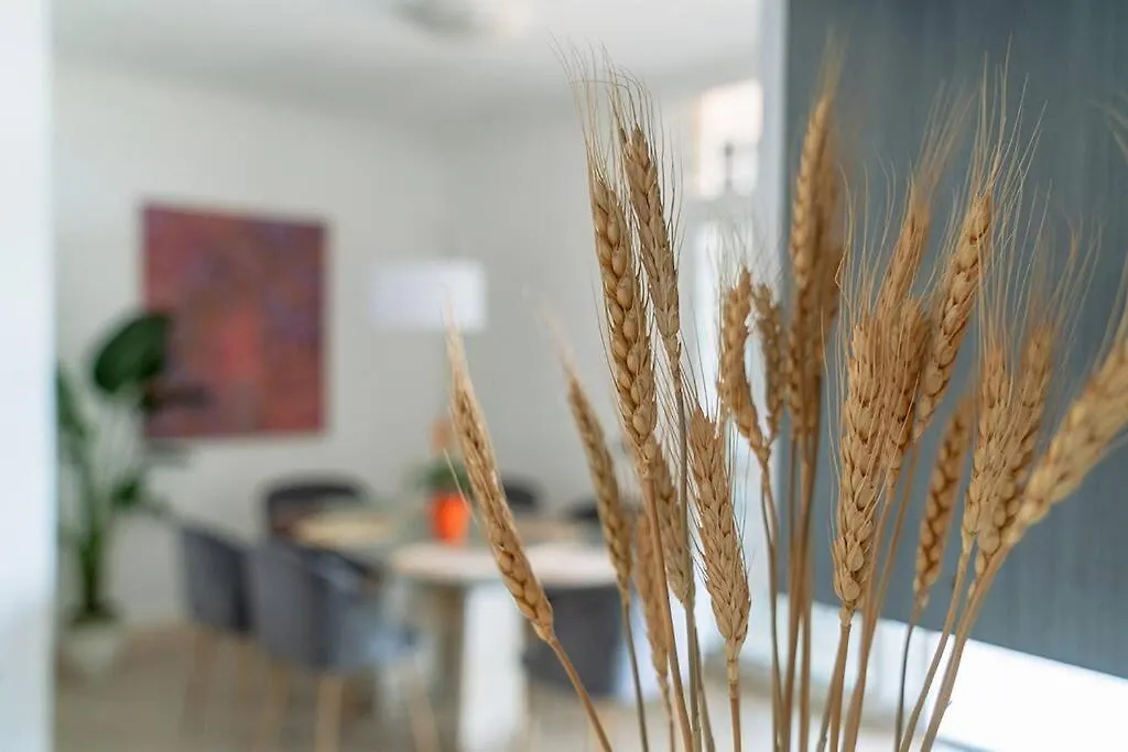 Apartmán Residenza Dell Agrifoglio Řím 0*,